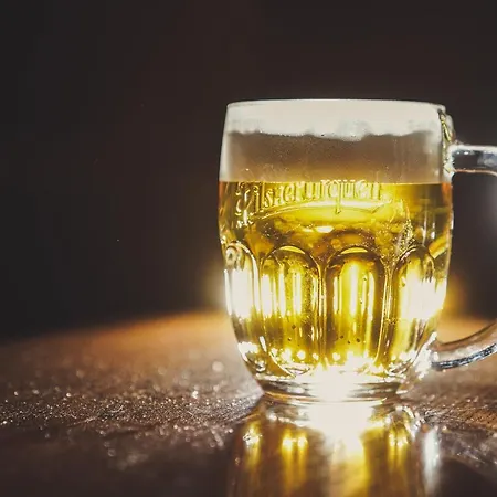 Gæstehus U Tri Sedlaku 3*