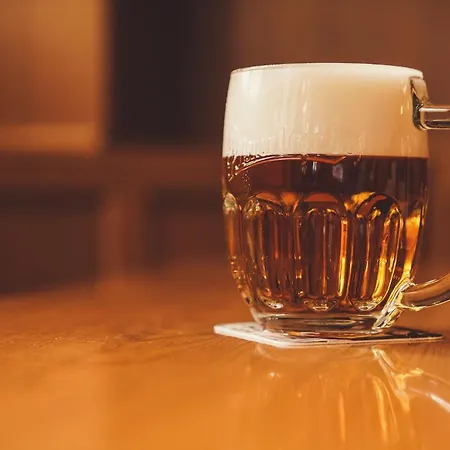 Gæstehus U Tri Sedlaku 3*