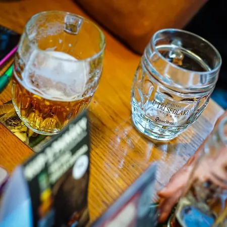 Gæstehus U Tri Sedlaku