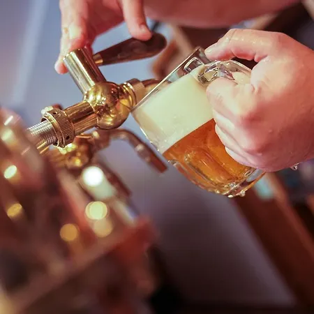 U Tri Sedlaku 3* Ceske Budejovice