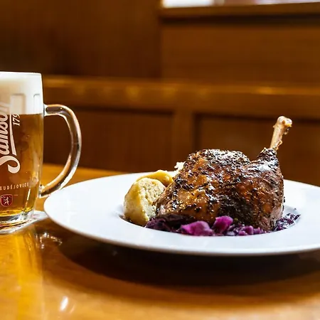 U Tri Sedlaku Gæstehus Ceske Budejovice