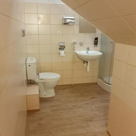 Guest house U Tri Sedlaku 3*