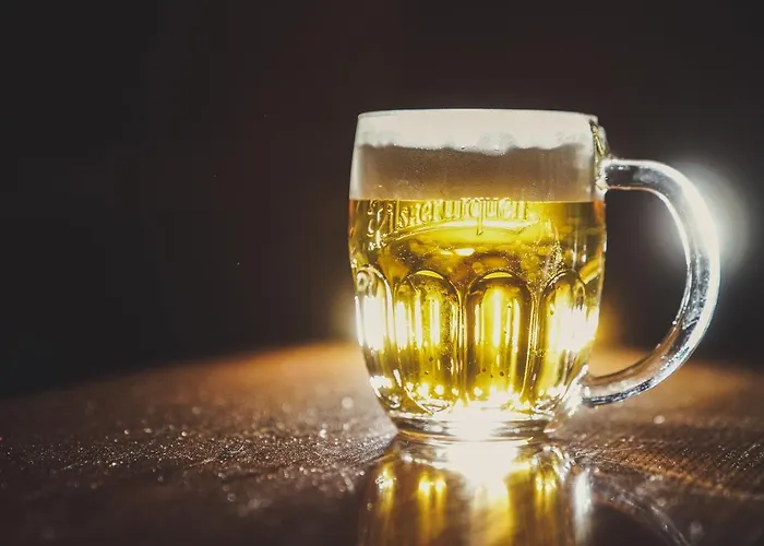 게스트하우스 U Tri Sedlaku 3*