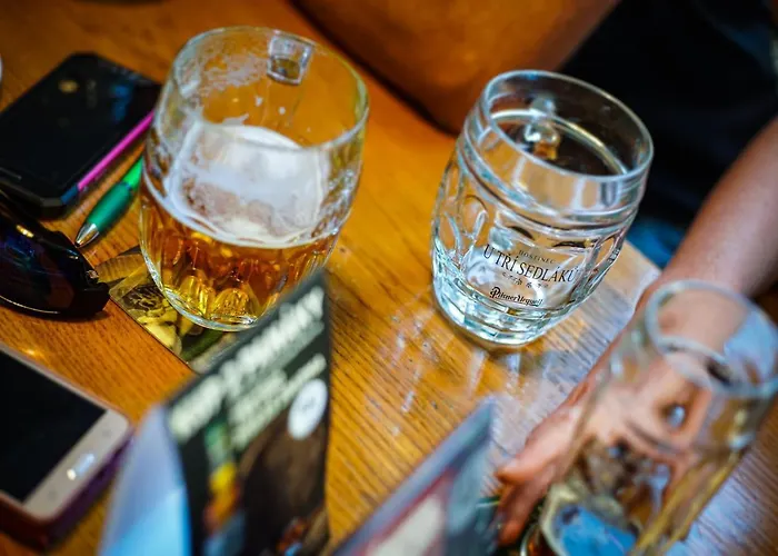 게스트하우스 U Tri Sedlaku