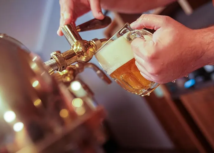 U Tri Sedlaku 3* Ceske Budejovice