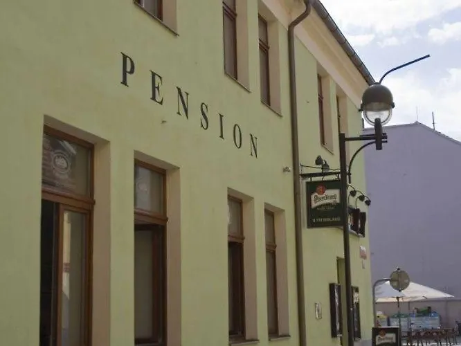 U Tri Sedlaku Πανσιόν Τσέσκε Μπουντεγιόβιτσε